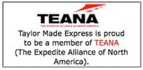 TEANA Logo